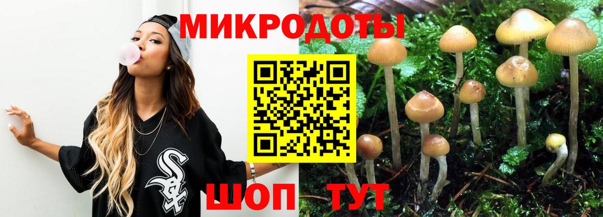 где купить   Галлюциногенные грибы Psilocybe  Вход с VPN  Вязники 